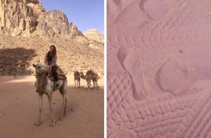 Camel and prints