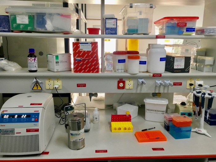 BlogPhoto-080719-003